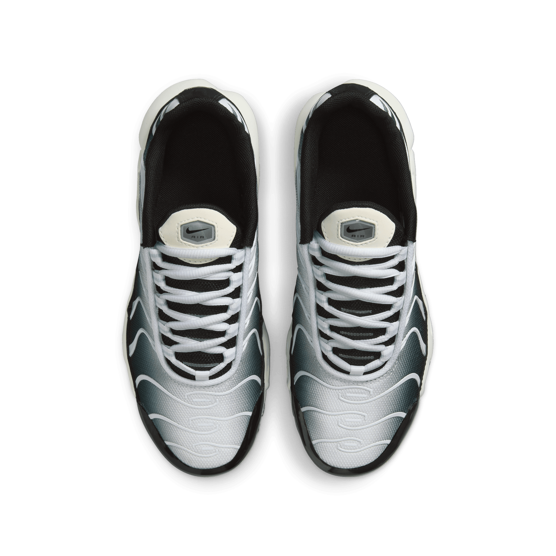 Big Kids' Nike Air Max Plus "Metallic Cool Grey"